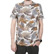 T-shirt Teddy Smith Tee Shirt ANTONE Naturel