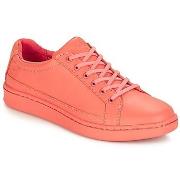 Baskets basses Timberland San Francisco Flavor Oxford