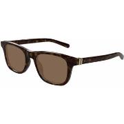 Lunettes de soleil Gucci GG1671S Lunettes de soleil, Havana/Marron, 53...