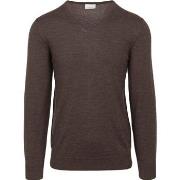 Sweat-shirt Profuomo Pull-over Col-V Laine Merinos Marron Foncé