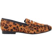 Derbies Gioseppo 70388