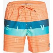 Maillots de bain Quiksilver Word Block 17"