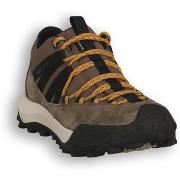 Chaussures Scarpa 004 ROVE GTX GRAY