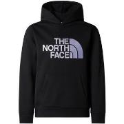 Sweat-shirt enfant The North Face B drew peak p/o hoodie