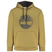 Sweat-shirt Timberland - Sweat capuche - kaki