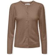 Pull Only Katia Life Knit - Malt Ball