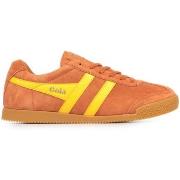 Baskets Gola Harrier Suede