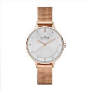 Montre Skagen Montre en acier et cristal