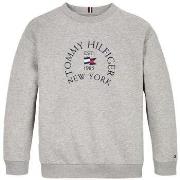 Sweat-shirt enfant Tommy Hilfiger 168221VTAH24