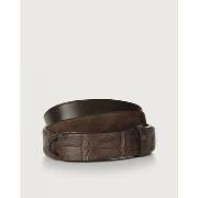 Ceinture Orciani NB0031 - COCCO SUEDE-T.MORO