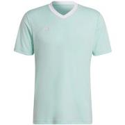 T-shirt adidas Entrada 22