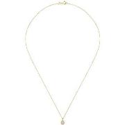 Collier Cleor Collier en or 375/1000 et diamant