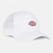 Casquette Dickies Hanston trucker