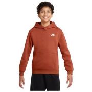 Sweat-shirt enfant Nike SWEATSHIRT K NSW CLUB FLC HDY LBR - VINTAGE /W...