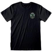 T-shirt Harry Potter Quidditch Slytherin