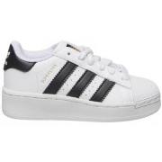 Baskets basses enfant adidas superstar_xlg_c