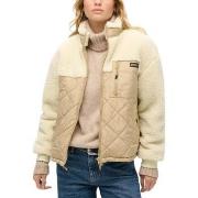 Manteau Superdry -