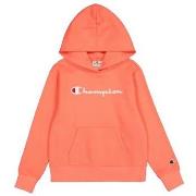 Sweat-shirt enfant Champion Sweat à Capuche Swea Hooded Jr (dbr)