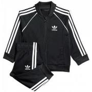 Costumes adidas dv2849_superstar_suit