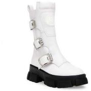 Bottes Steve Madden -