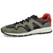 Baskets basses Geox U DORAY B OLIVE