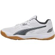 Chaussures Puma Solarflash Ii