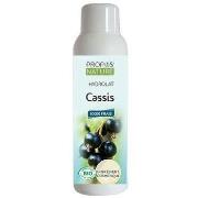 Bio &amp; naturel Propos'nature Hydrolat de cassis BIO