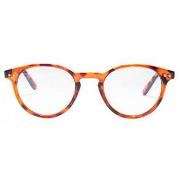 Lunettes de soleil Northweek HAYES tortoise 1 u