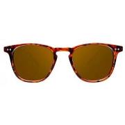 Lunettes de soleil Northweek WALL TORTOISE POLARISEES 1 u