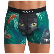 Boxers Waxx Boxer SWAMP