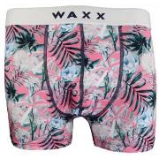 Boxers Waxx Boxer HONOLULU