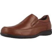 Derbies Fluchos LUCA