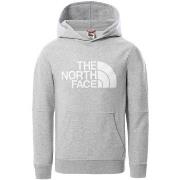 Sweat-shirt The North Face - Sweat capuche - gris