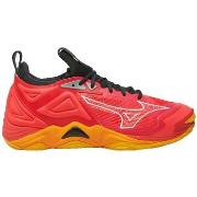 Chaussures Mizuno Wave Momentum 3