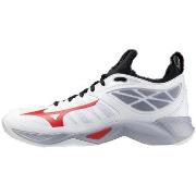 Chaussures Mizuno Wave Dimension