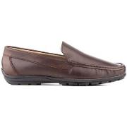 Mocassins Iberico Shoes -