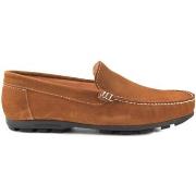 Mocassins Latino -