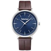 Montre Timberland Montre Homme TDWGA0029202