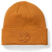 Chapeau Timberland TB0A2PJR2311