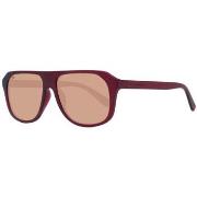 Lunettes de soleil Serengeti Lunettes de soleil Homme SS535004 57