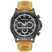 Montre Timberland Montre Homme TDWGF0054603