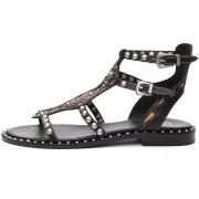 Sandales Ash low sandals Plaza