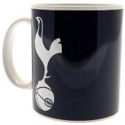 Accessoire sport Tottenham Hotspur Fc TA3889