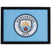 Accessoire sport Manchester City Fc TA12298