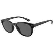 Lunettes de soleil Emporio Armani Lunettes de soleil Homme EA 4225U