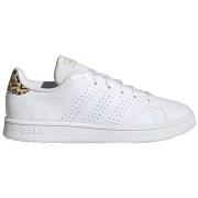 Baskets adidas Advantage Base