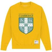 Sweat-shirt Cambridge University PN513