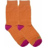 Chaussettes Panchic PASP005-0061Y001-KAKI