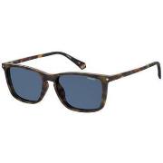 Lunettes de soleil Polaroid PLD 6139/CS Lunettes de soleil, Havana fon...