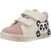 Baskets enfant Falcotto PEDEE VL